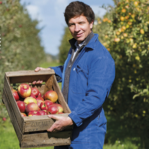 Marché des producteurs de pays